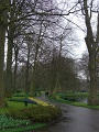 Keukenhof